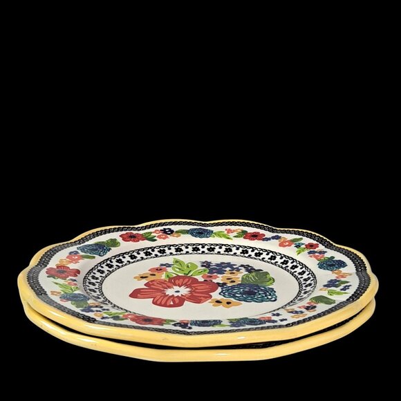 Set of 2 ~ Pioneer Woman Classic Floral Stoneware Dinner Plates ~ - Picture 7 of 11